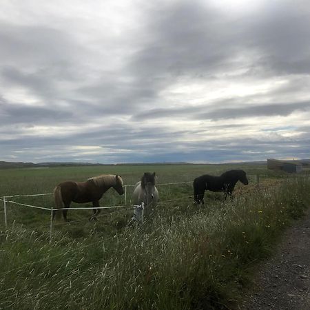 Þrandarholt Villa Hreppholar Luaran gambar