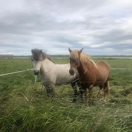 Þrandarholt Villa Hreppholar Luaran gambar