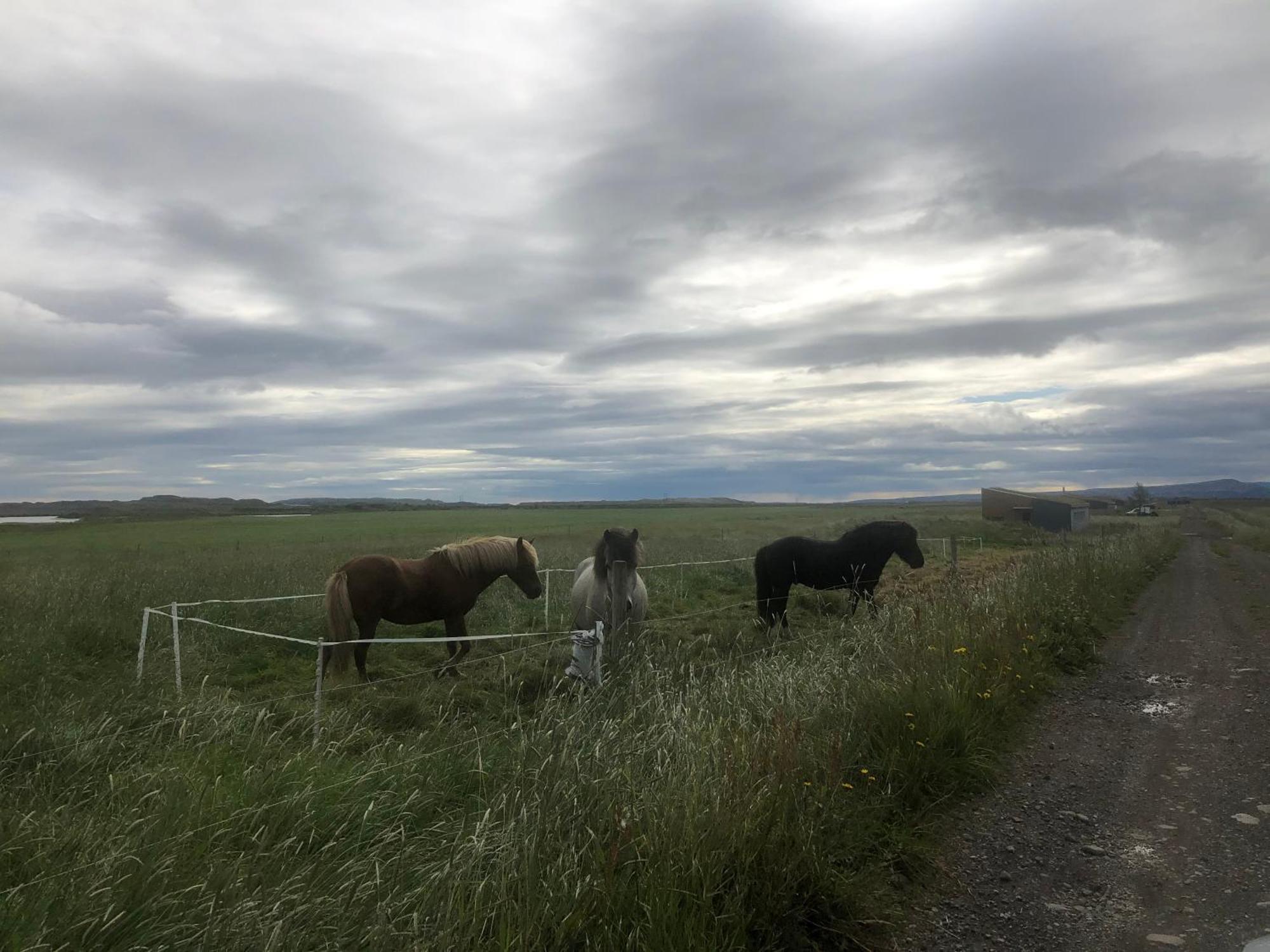 Þrandarholt Villa Hreppholar Luaran gambar