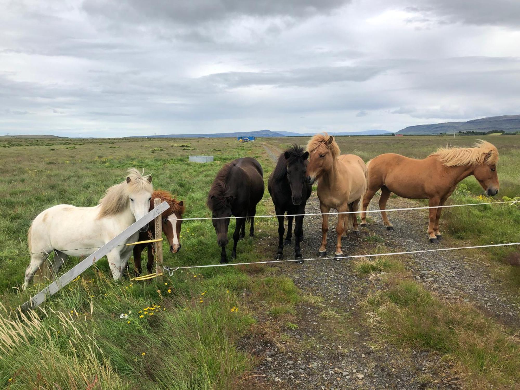 Þrandarholt Villa Hreppholar Luaran gambar